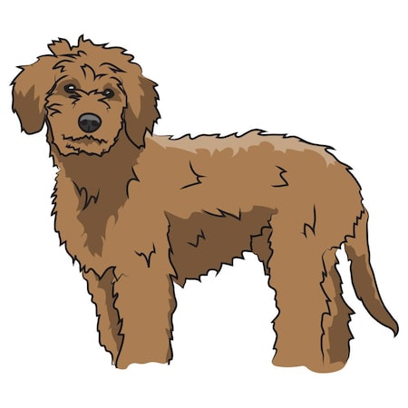 Signmission Goldendoodle Dog Decal, Dog Lover Decor Vinyl Sticker D-12-Goldendoodle